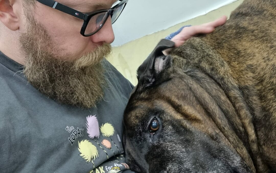 LOKI NEEDS SOME ASSISTANCE – R38 000