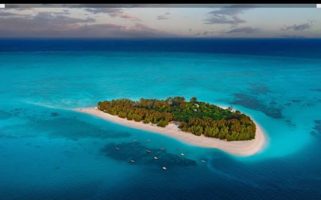 NEED AN ISLAND – R 24 596 413